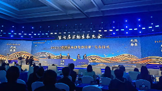 至控科技